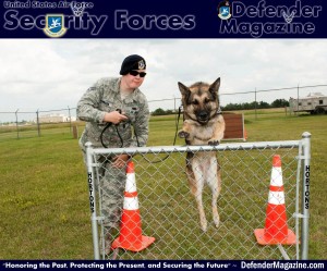 Senior Airman Heather Johnson, 5th Security Forces Squadron military working dog handler, instructs her MWD Cyndy to jump over a hurdle at the MWD obstacle course on Minot Air Force Base, N.D., July 29, 2014. Though Johnson stated she and Cyndy make a strong team, she also explained creating a bond with a K-9 takes a lot of time and effort. The pair usually work 14 to 15 hours a day guarding the base and its assets. (U.S. Air Force photo/Senior Airman Stephanie Morris)