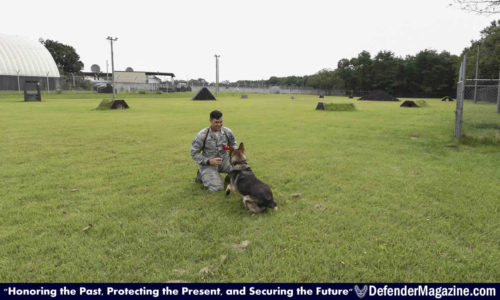 091516 Military Working Dog bites 35th SFS 02_X1200