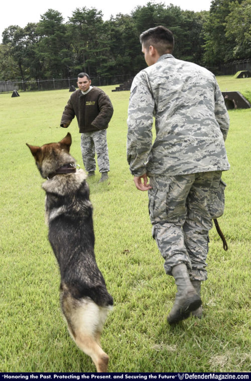 091516 Military Working Dog bites 35th SFS 03_X1200