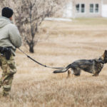 security forces mwd