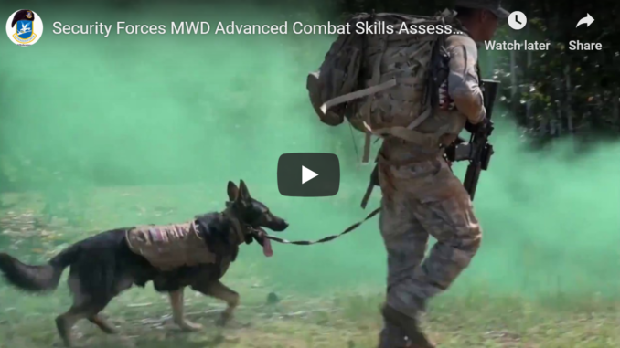 Military Working Dog Advanced Combat Skills Assessment