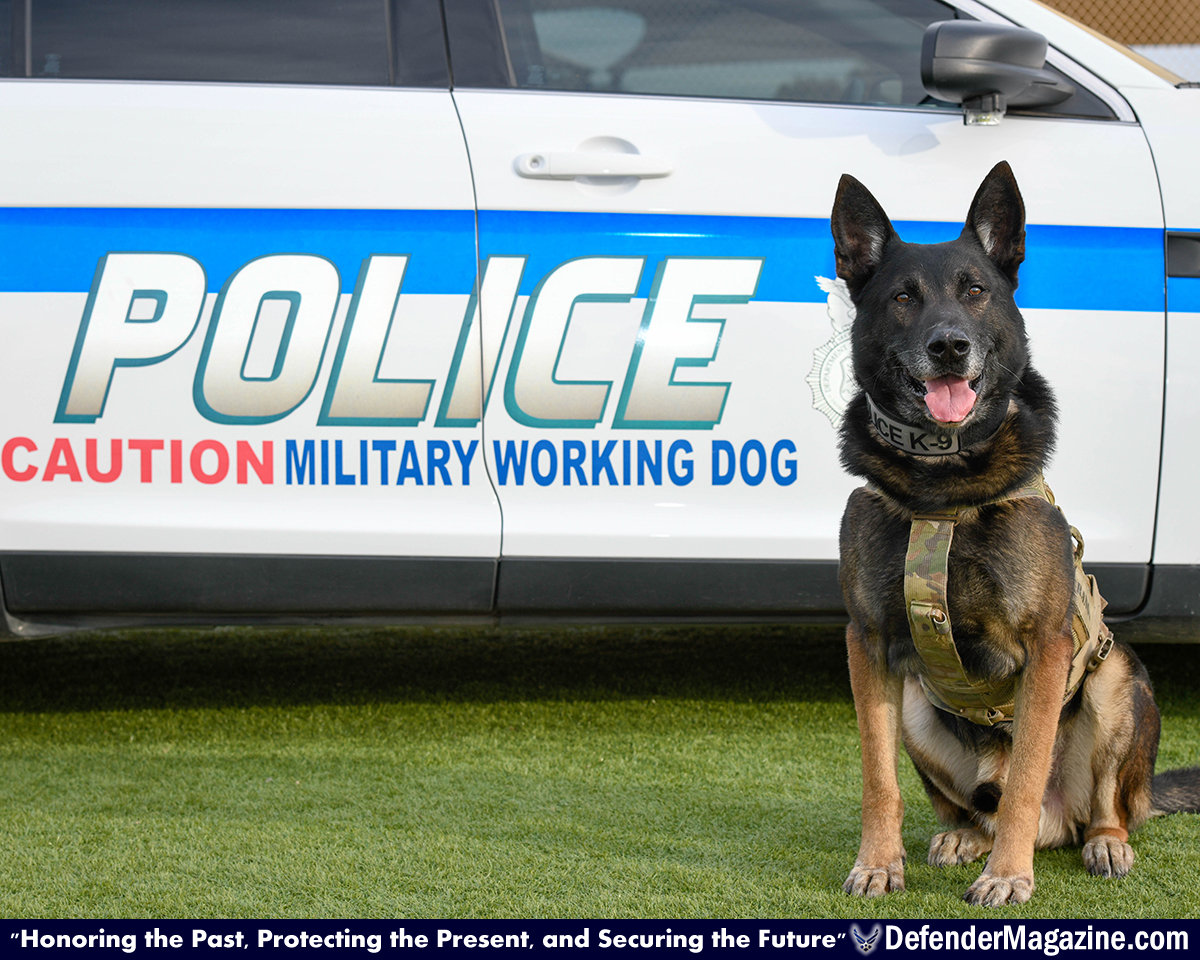 Security forces MWD
