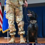 Military Working Dog Ember Retires from her Courageous Career