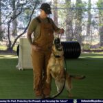 4th SFS Military Working Dogs Demonstrate Their Skills