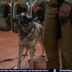 4th SFS Military Working Dogs Demonstrate Their Skills