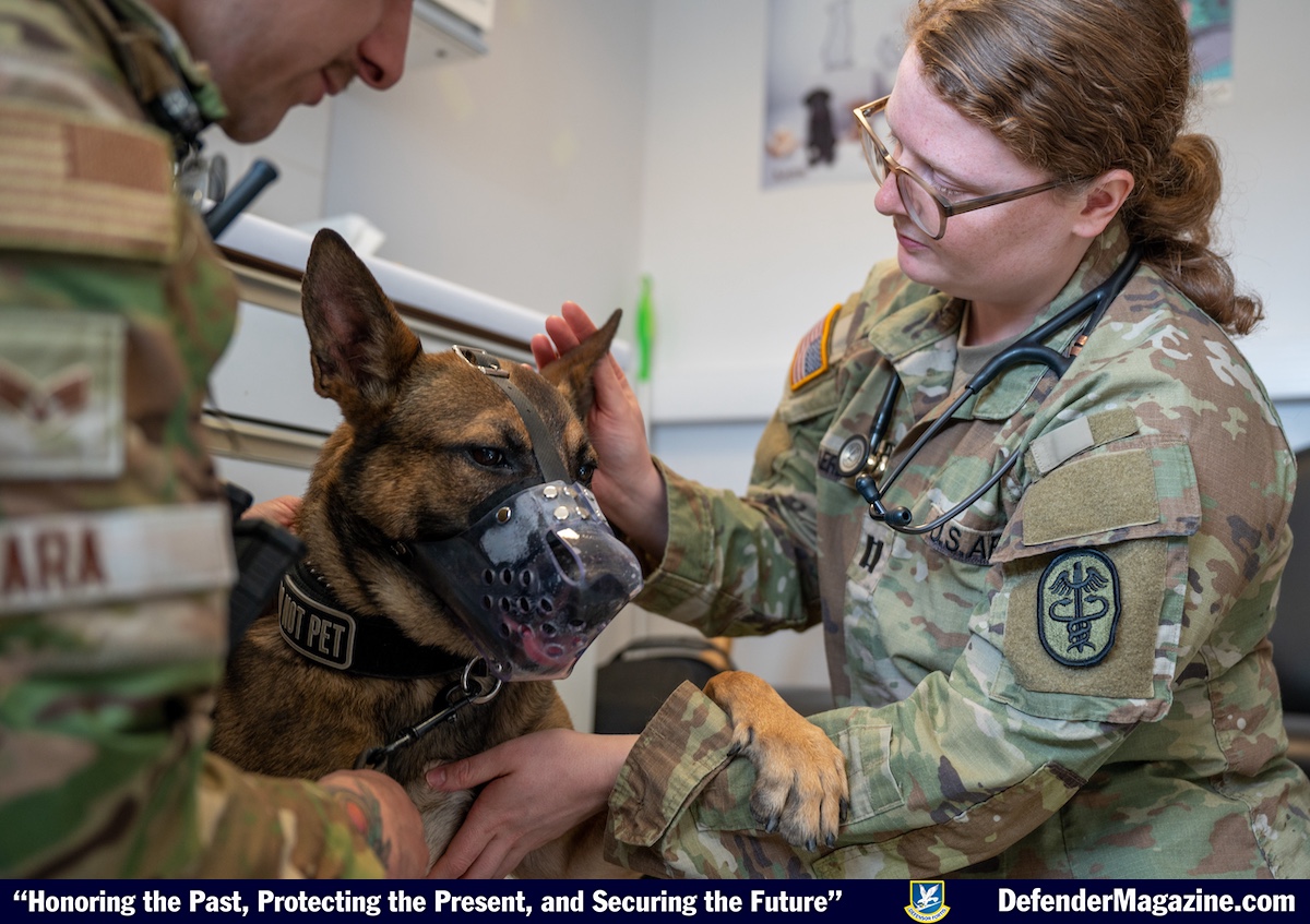 Keeping paws on the frontline: The importance of the veterinary clinic at the 48th