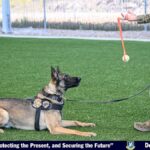MWD Rex joins 75th SFS