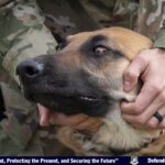 Door opener adds surprise lethality for K9 unit